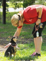 Dog Obedience Training Brevard County Dog Obedience Training Brevard County