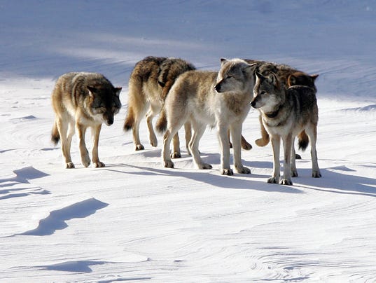 635565191525391083-DFP-0527-michigan-wo-1-1-HU7FUFH6-L424253089