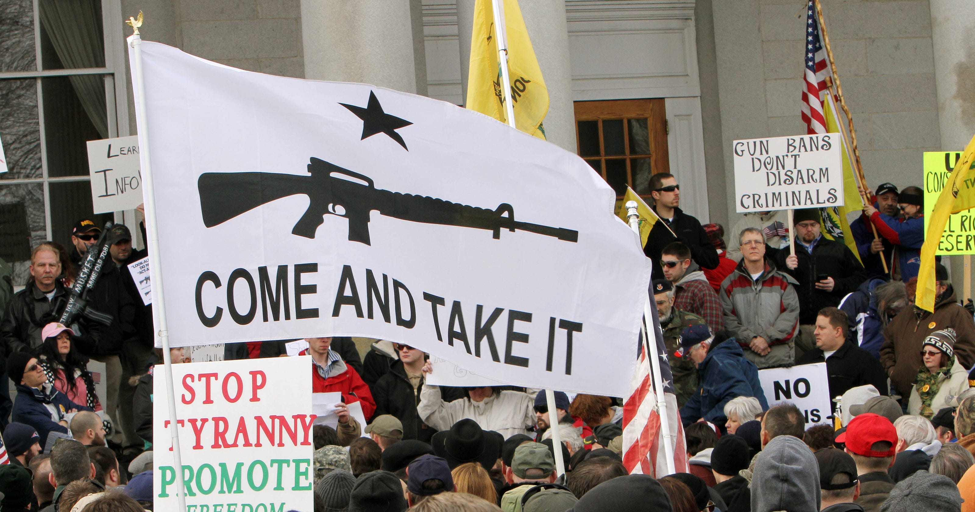 Thousands join pro-gun rallies in state capitals