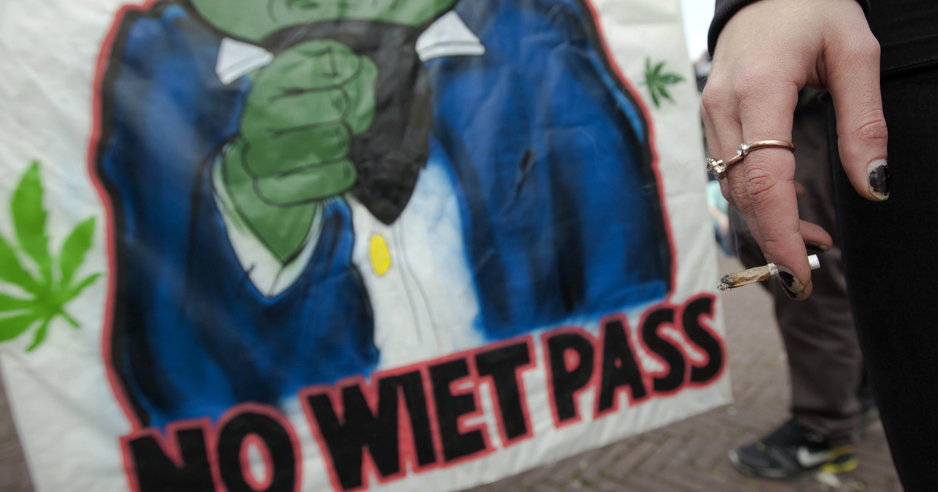 Dutch government ditches 