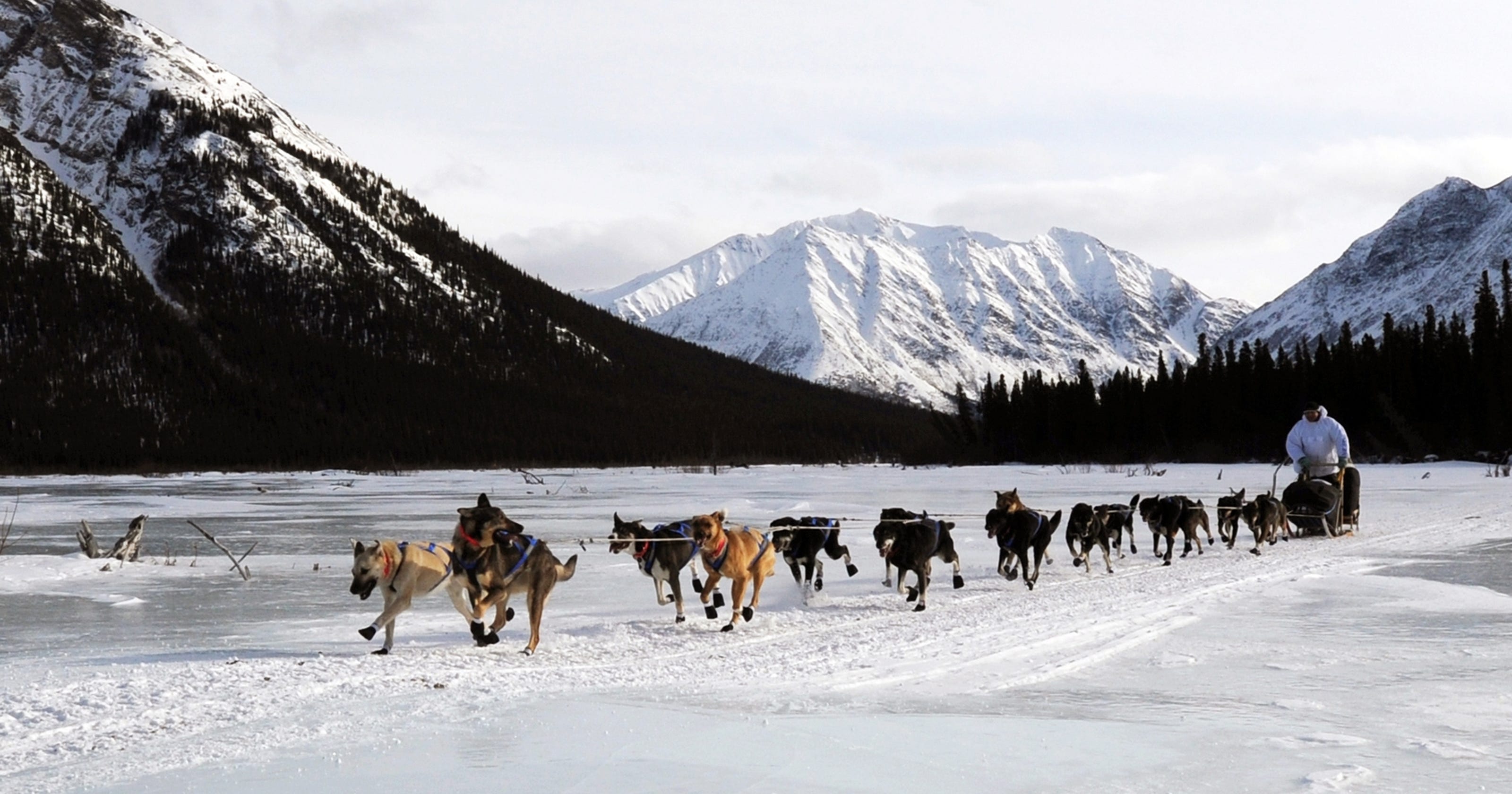 Iditarod Trail Sled Dog Race takes off in Alaska