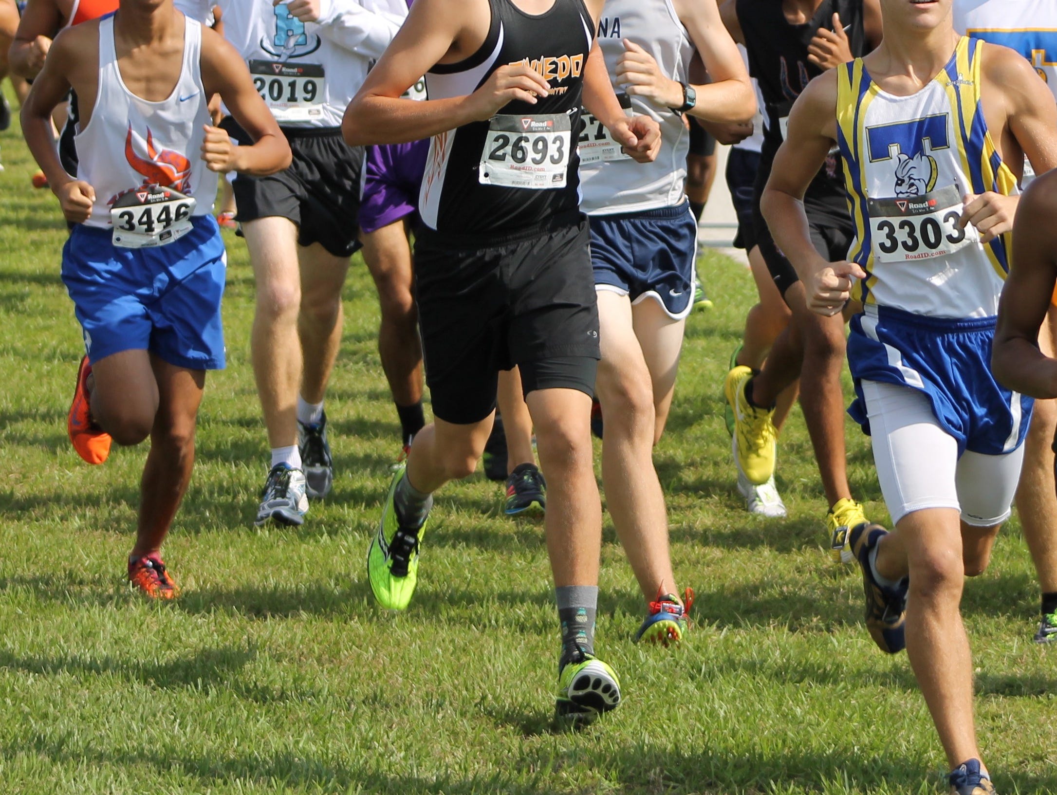 Brevard cross country best performers USA TODAY High School Sports