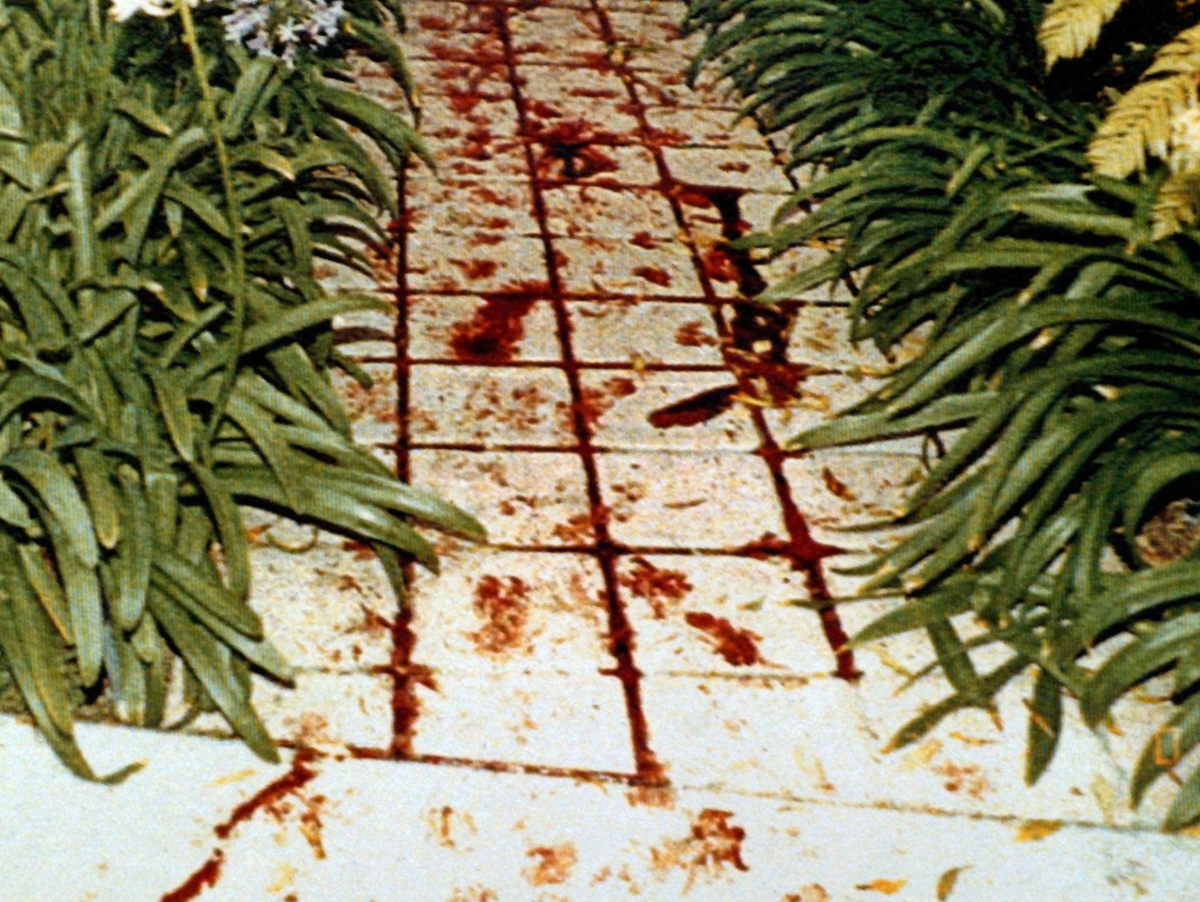 Image result for oj simpson shoe print