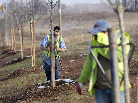 620000 Trees Being Planted To Honor Civil War Dead