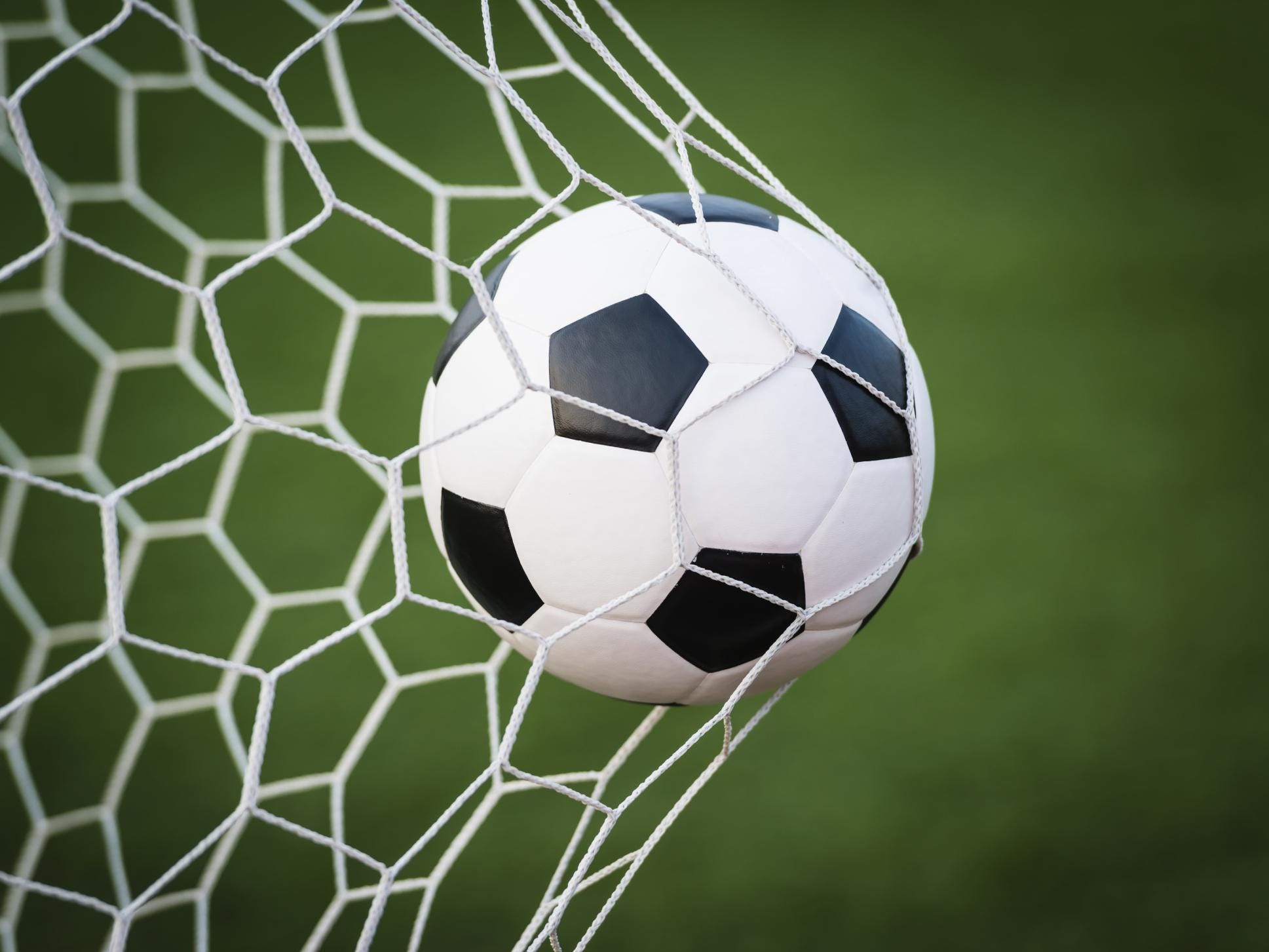 Soccer Ball in Net
