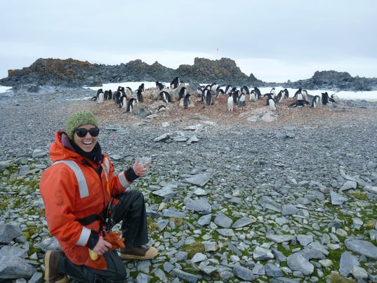 Penguins