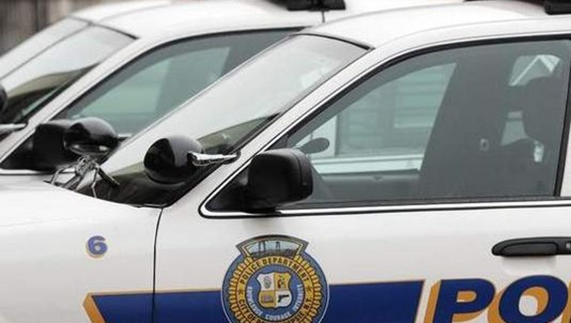 Police investigating alleged dogs' deaths after they were left in hot car - Poughkeepsie Journal