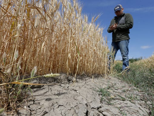 ON FOUR CONTINENTS, HISTORIC DROUGHTS WREAK HAVOC 635733390013232088-AP-California-Drought-Water-Cuts
