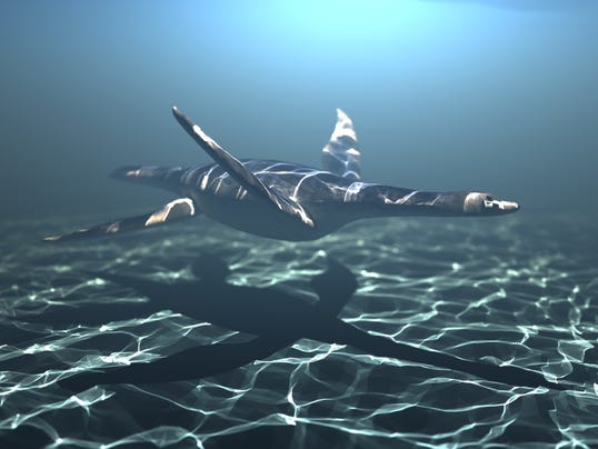 dinosaurs that swam in the ocean