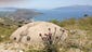 Another view of a pillbox overlooking the Adriatic.