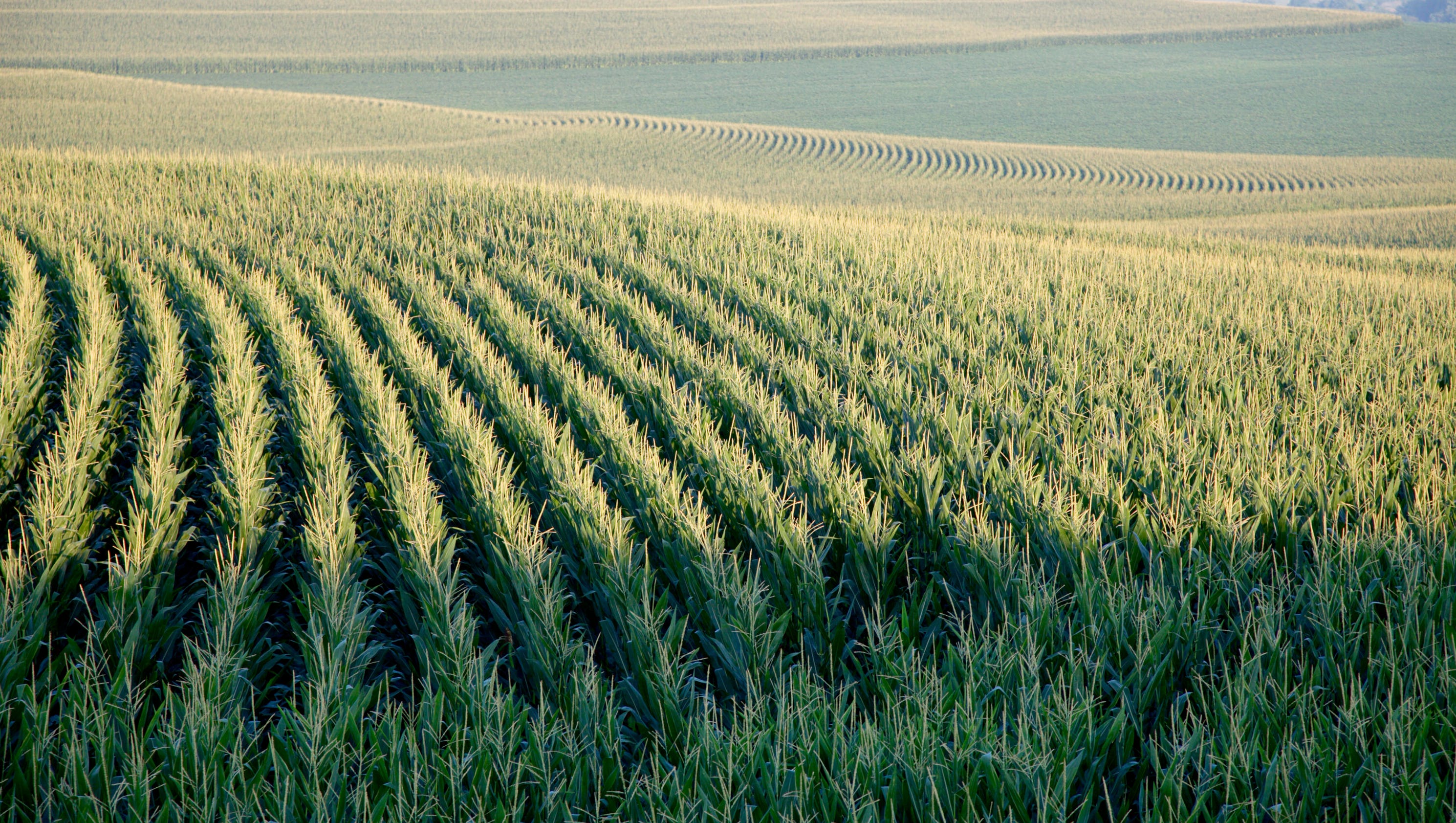 380M left over in Native American farmer settlement