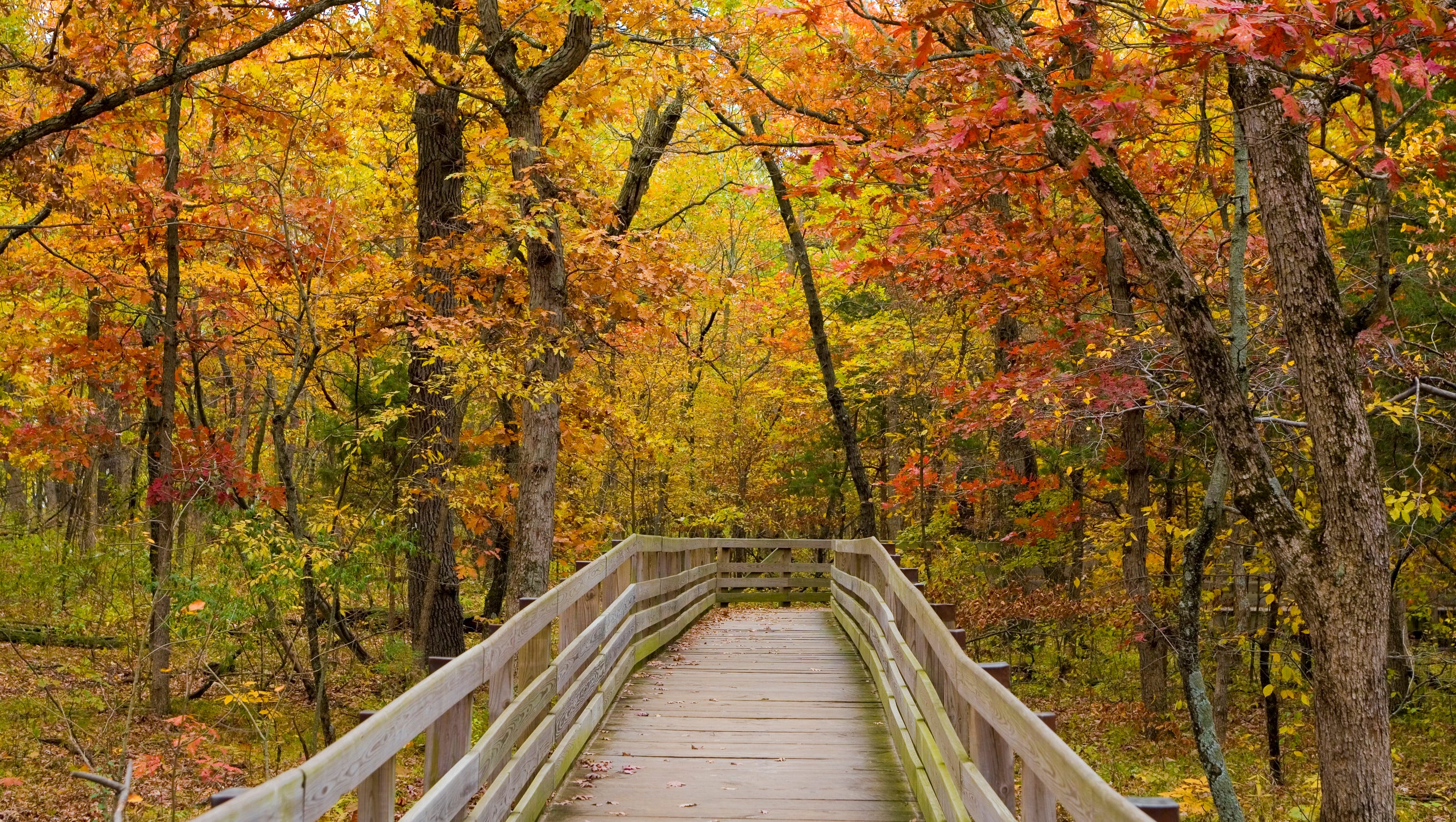 The first day of fall begins on Tuesday, say meteorologists