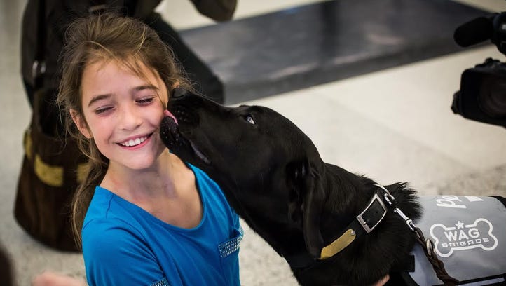 Airport dogs calm anxious travelers