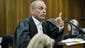 Prosecutor Gerrie Nel gestures while  Oscar Pistorius testifies during his trial for the murder of his girlfriend Reeva Steenkamp on Aprill 10.