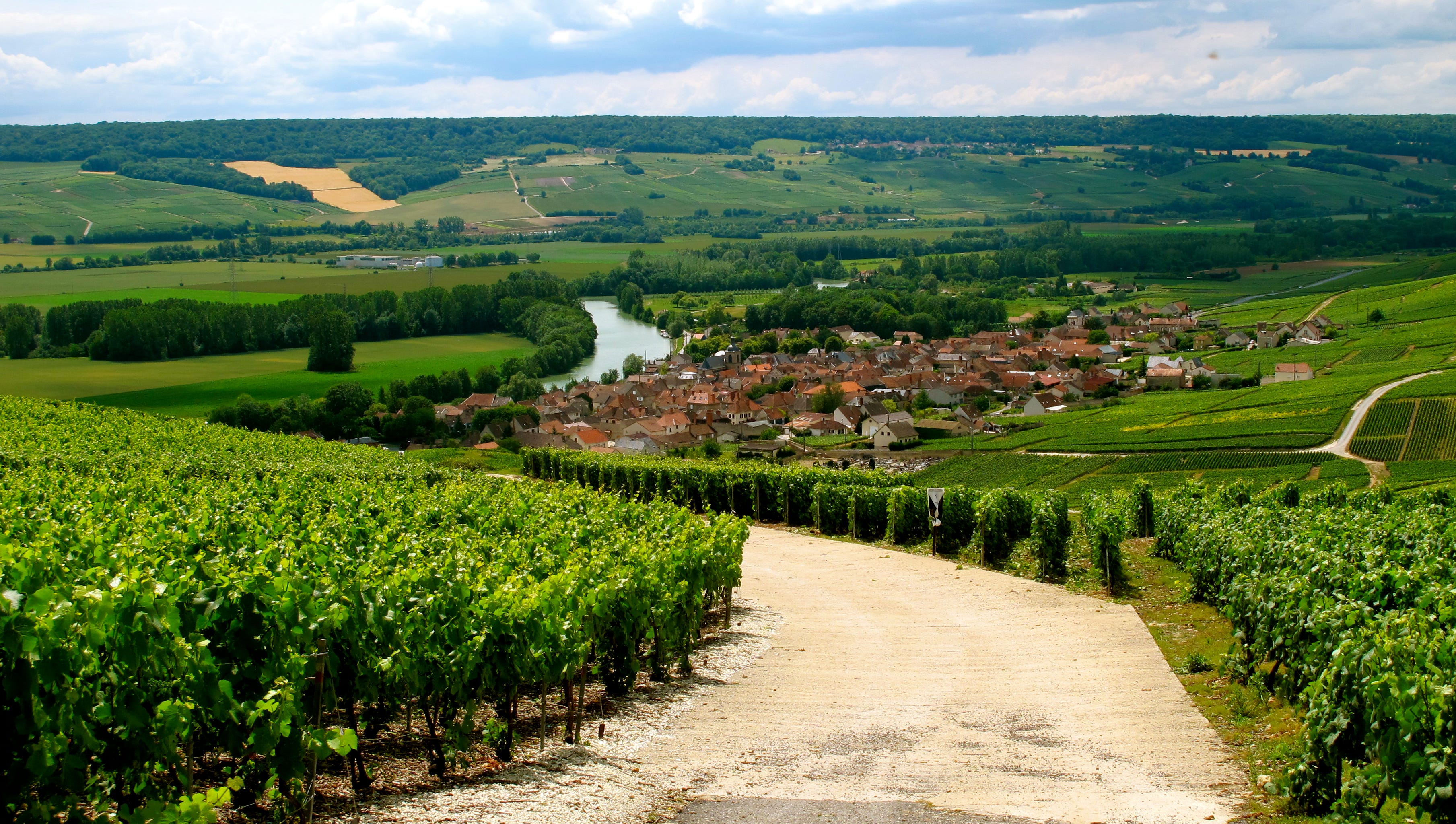 Guided wine tours in Champagne, France