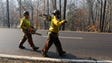 A forestry crew from South Dakota walking along the