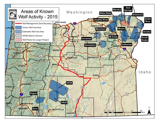 Areas of known wolf activity in Oregon.