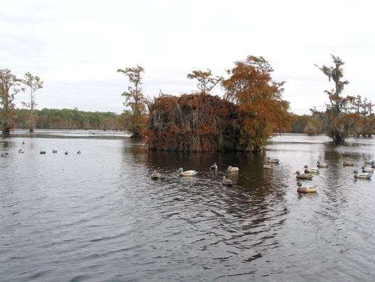 Iatt lake Iatt lake