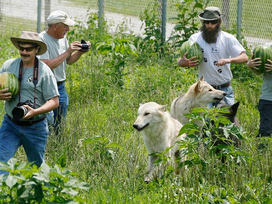 LAF Watermelons for Wolves_02.jpg