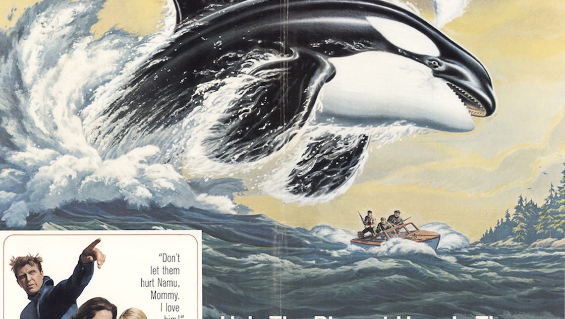 Namu The whale that brought Hollywood to Kitsap
