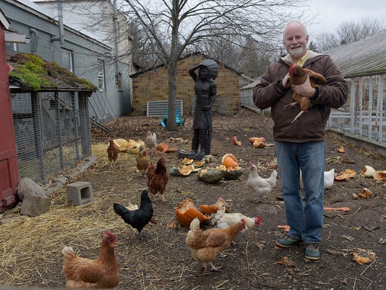 "I've always loved chickens," said Tim Travis, owner