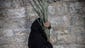A pilgrim with palm tree leafs follows the Palm Sunday procession on the Mount of Olives in Jerusalem.