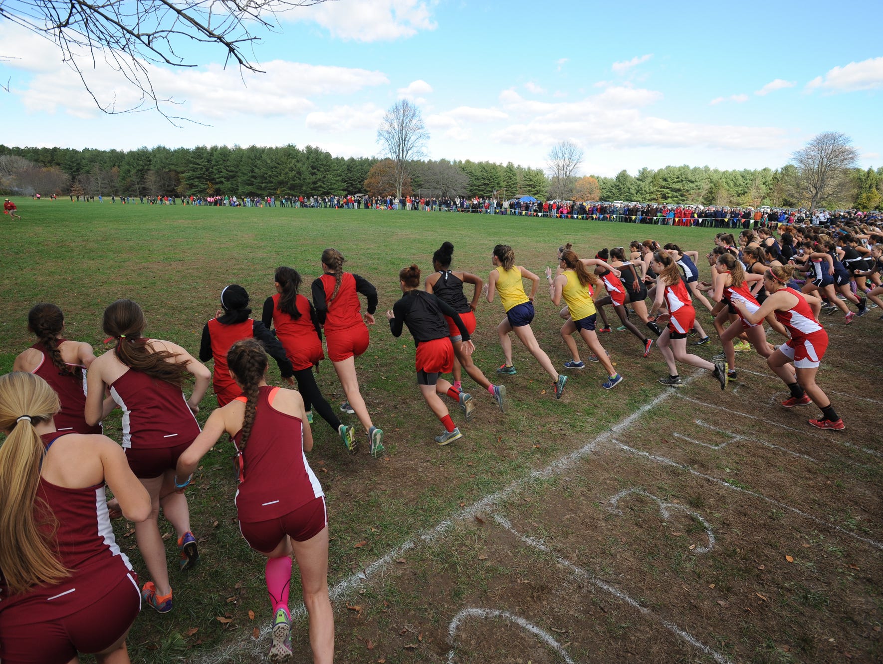Start of the Girl's Division II DIAA Cross Country State Championships at Killens Pond State Park in Felton.