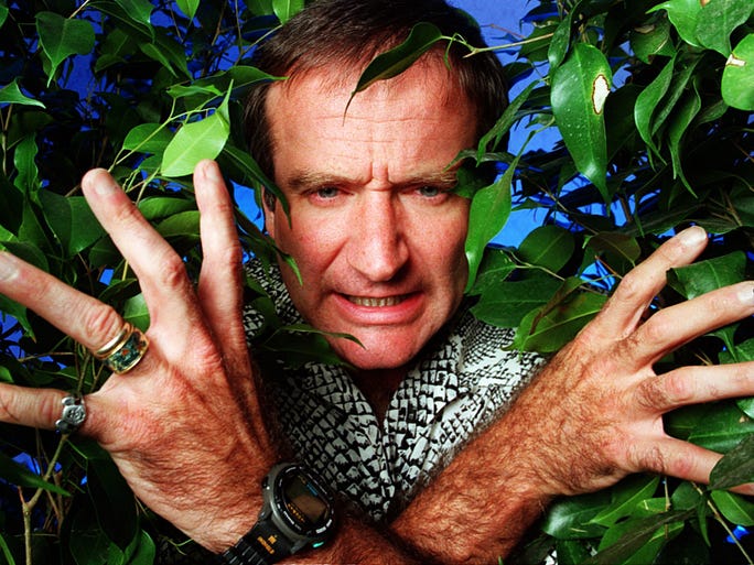 Williams poses with his trademark goofiness during a USA TODAY shoot for "Jumanji" in 1995.