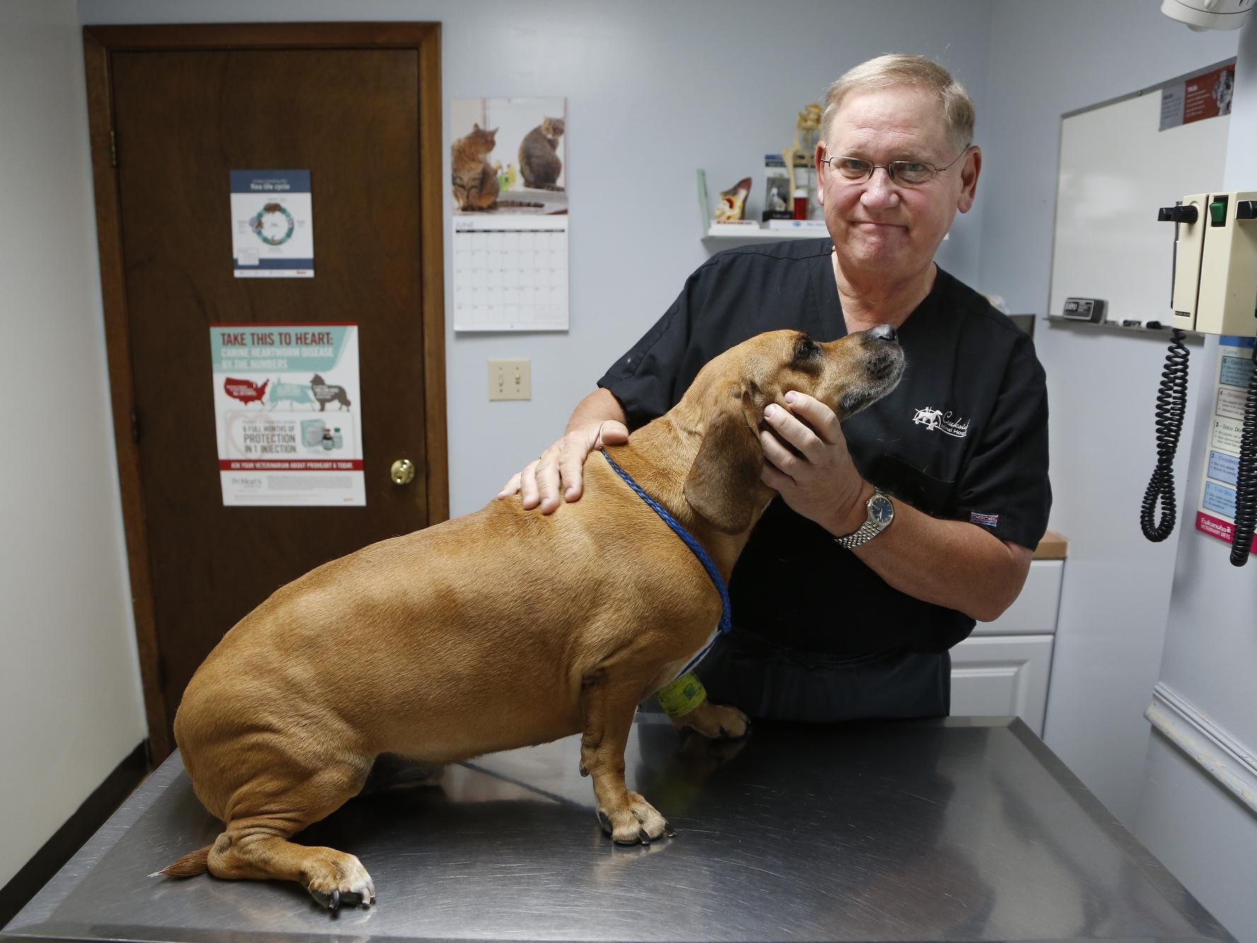 Veterinarian Todd Clark visit with Digby, a seven-year-old Basset mix, Monday, June 22, 2015, at Creekside Animal Hospital, 2840 Schuyler Avenue in Lafayette. The dog had its teeth cleaned earlier in the morning. Clark is retiring as a high school football referee after 41 years.
