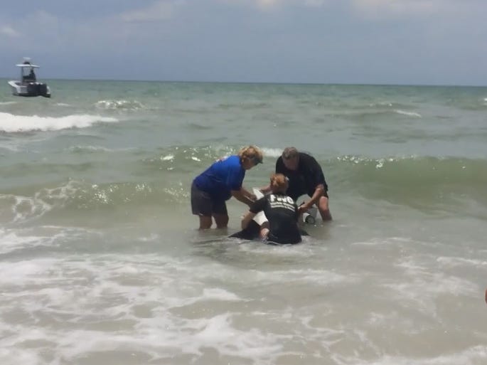 Marine officials rescue a baby dolphin that washed ashore during a storm on Friday, July 4 2014.