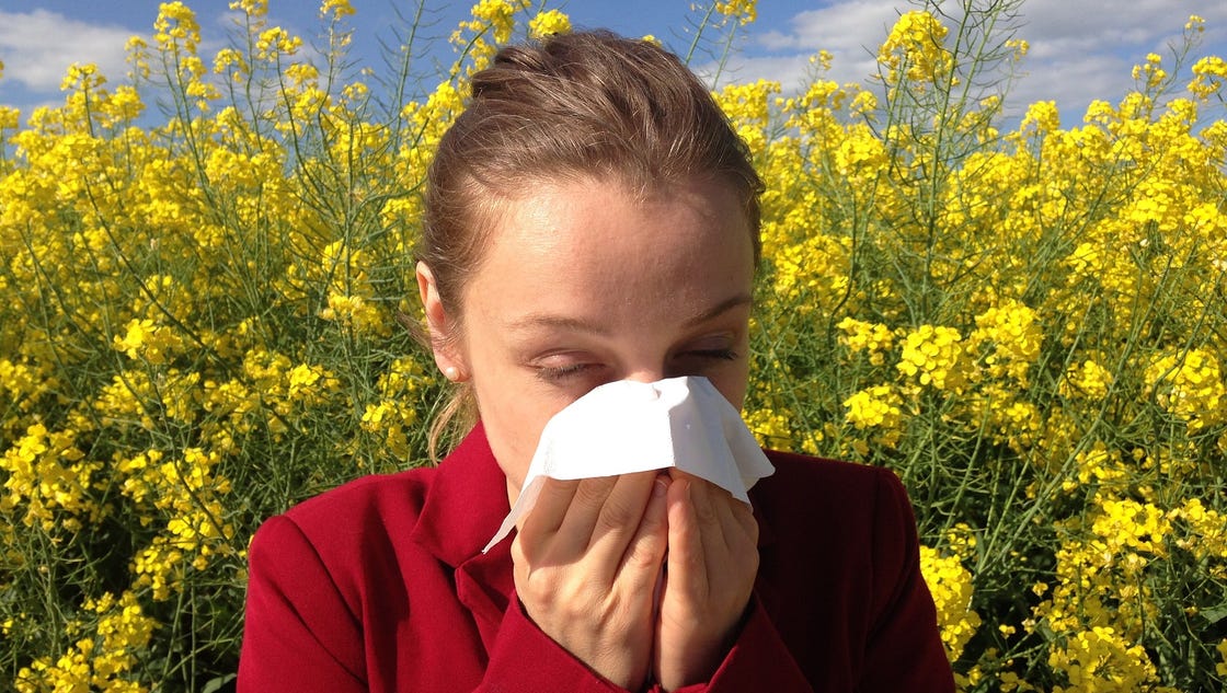 Spring and Allergies Come to Nashville