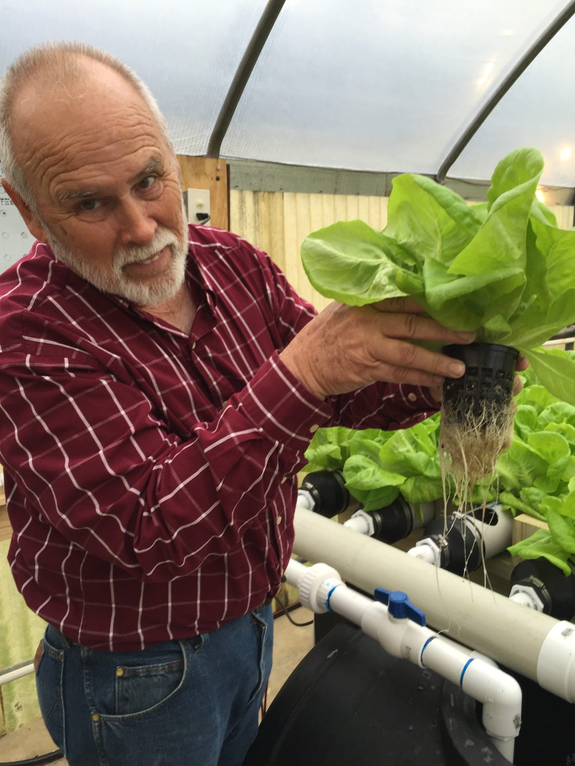 Rory Gresham, greenhouse manager for Richland Parish