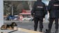 Policemen walk past a stray dog near the Media Center.