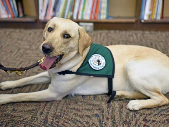 Seeing Eye Dog Nj Seeing Eye Dog Nj