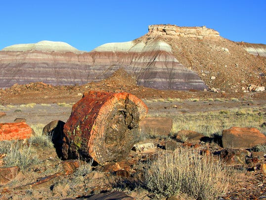 Petrified