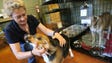 Debbi Cure, Dog Program director, gives medicine to