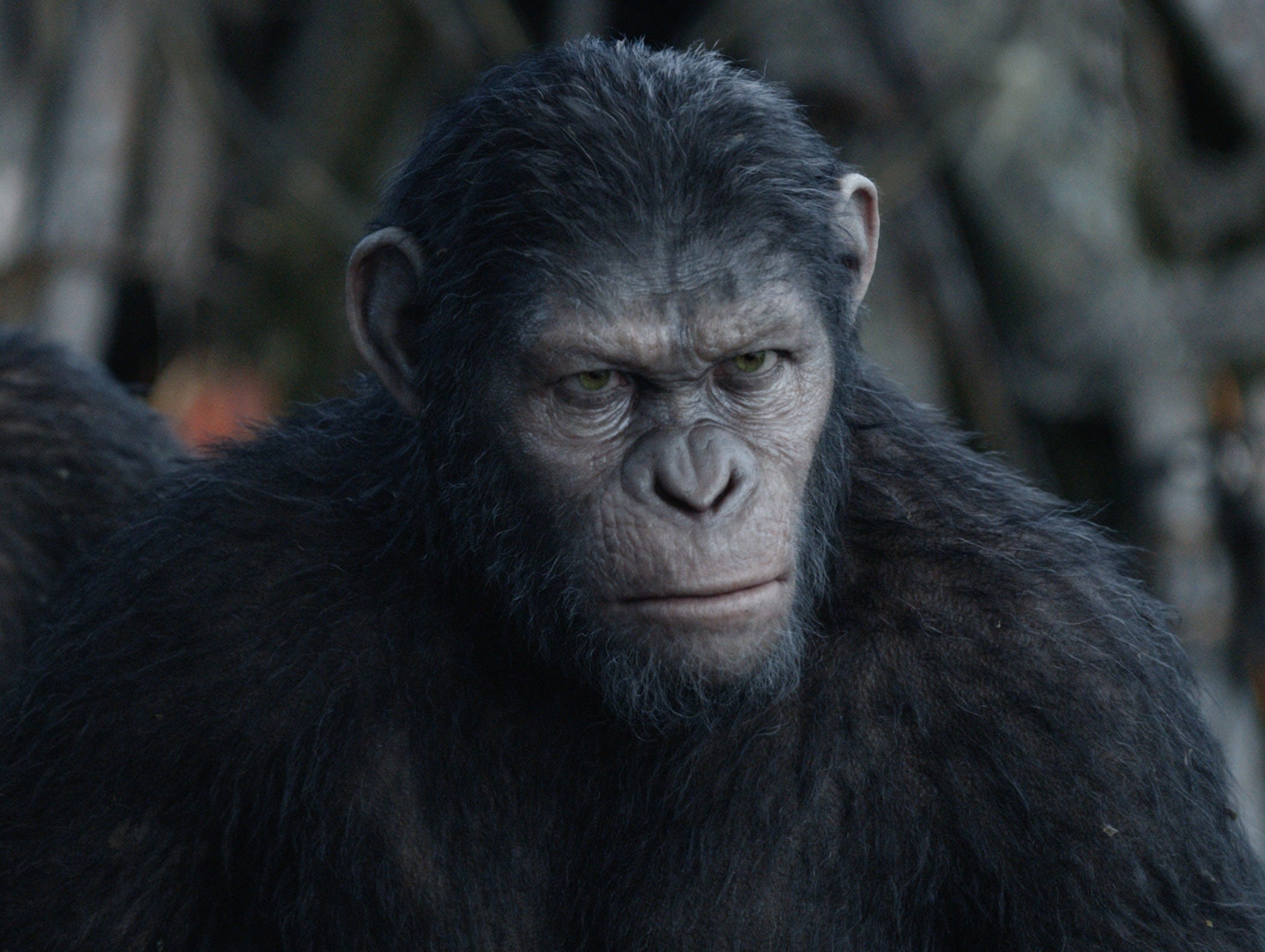 Caesar (played by Andy Serkis) : The highly-evolved alpha ape returns from 2011's 'Rise of the Planet of the Apes' older and burlier. Reeves says the Weta Digital artists made Caesar slightly more ape-like in this film to fit into the concept of a pu