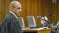 State prosecutor Gerrie Nel questions Oscar during cross examination on April 11, 2014.