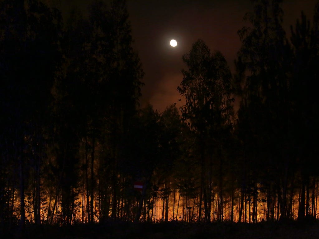 The moon rises behind eucalyptus trees silhouetted against a wildfire near Abrantes, central Portugal. Wildfires flared across Portugal on Thursday following a rise in temperatures and strong winds, ending days of cooler weather that had brought a br