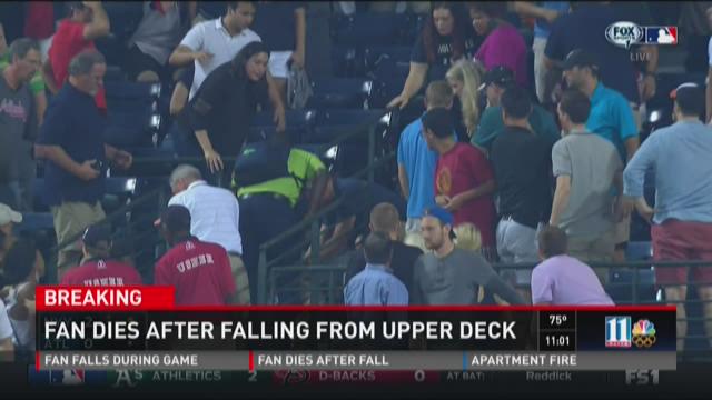 Fan dies after falling from upper deck