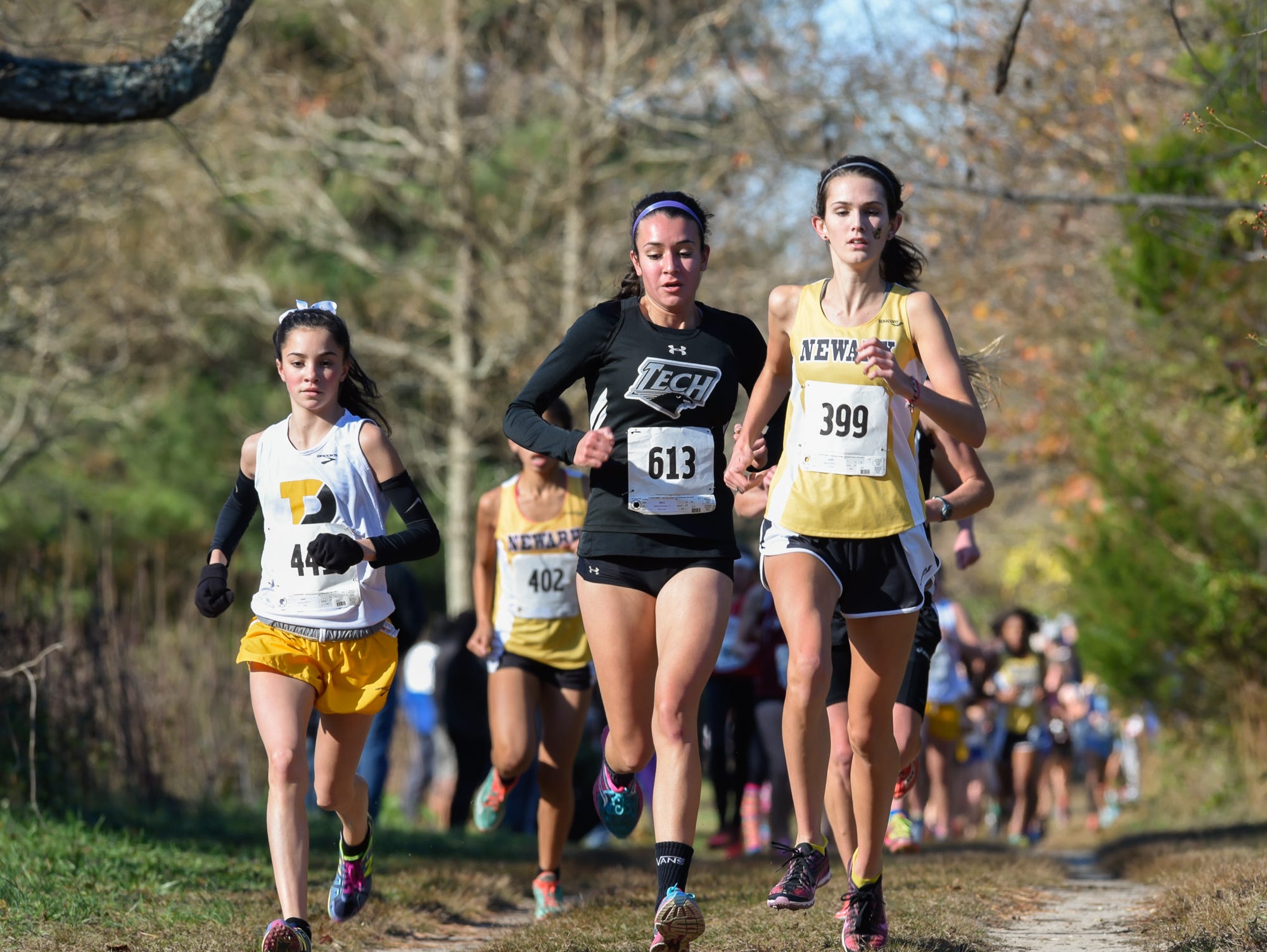 Newark's Rachel Beston leads the Division I DIAA Cross Country State Championships at Killens Pond State Park in Felton.