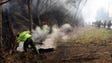 A forestry crew from South Dakota was cleaning up along