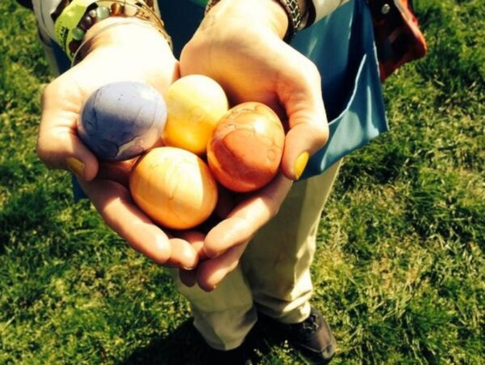 A handful of eggs to be used at the White House Easter Egg Roll