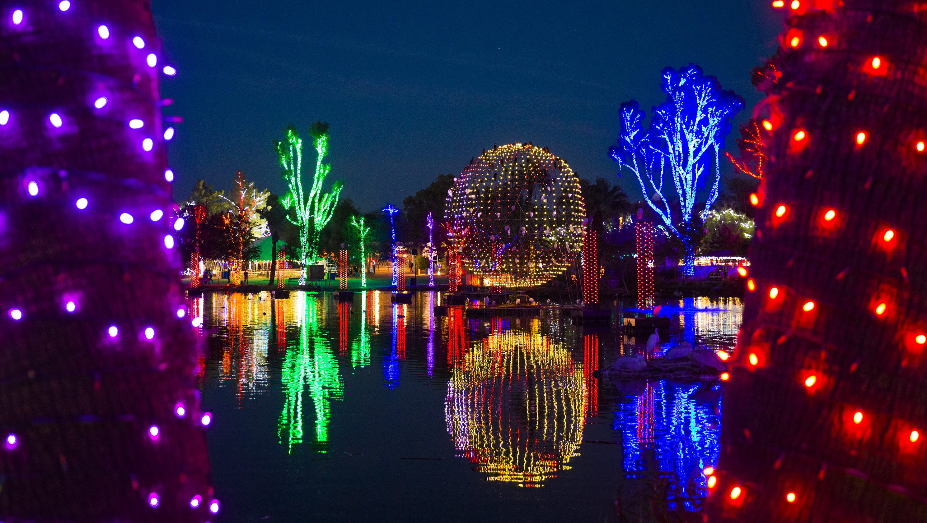 Photos Phoenix Zoolights 2016