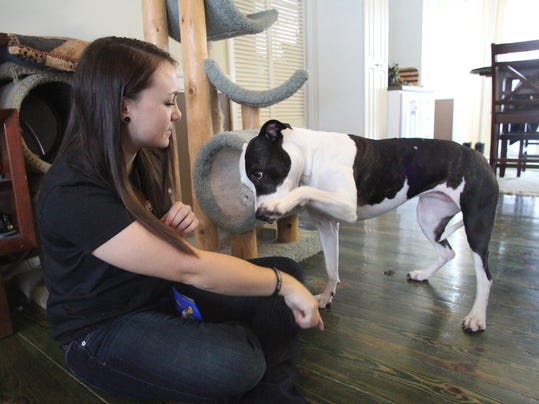 Deer, dog stories from Livingston go viral in 2014