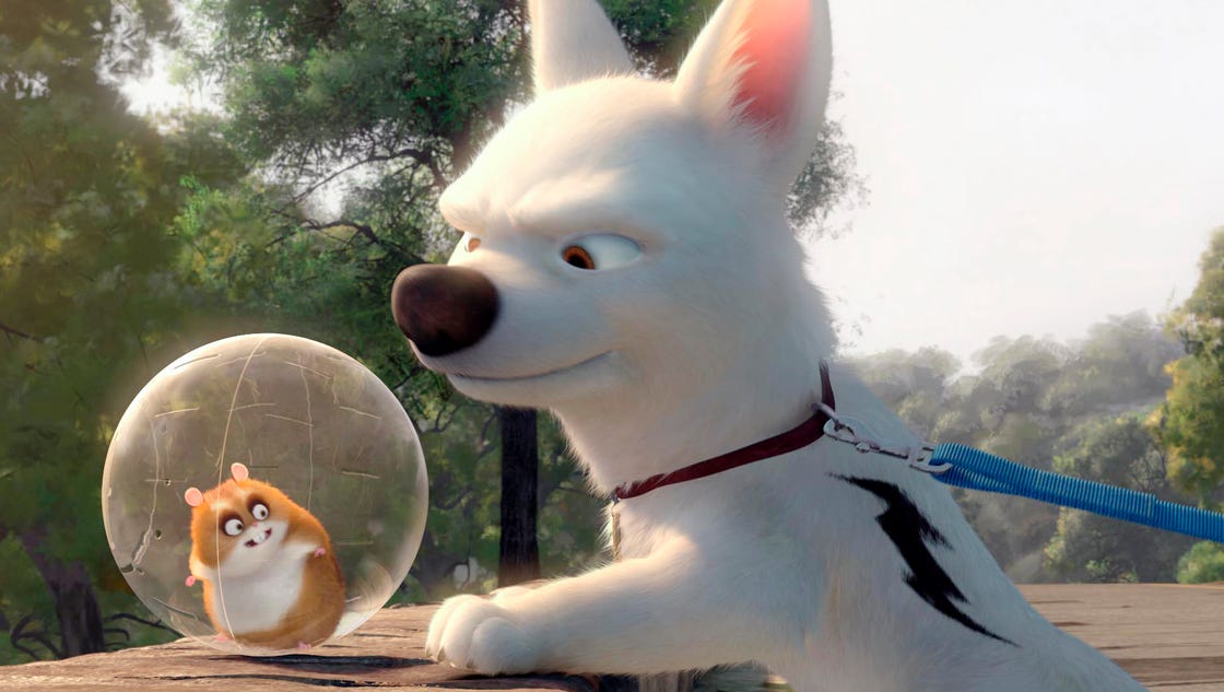 Adorable dog simply cannot handle Disney's 'Bolt'