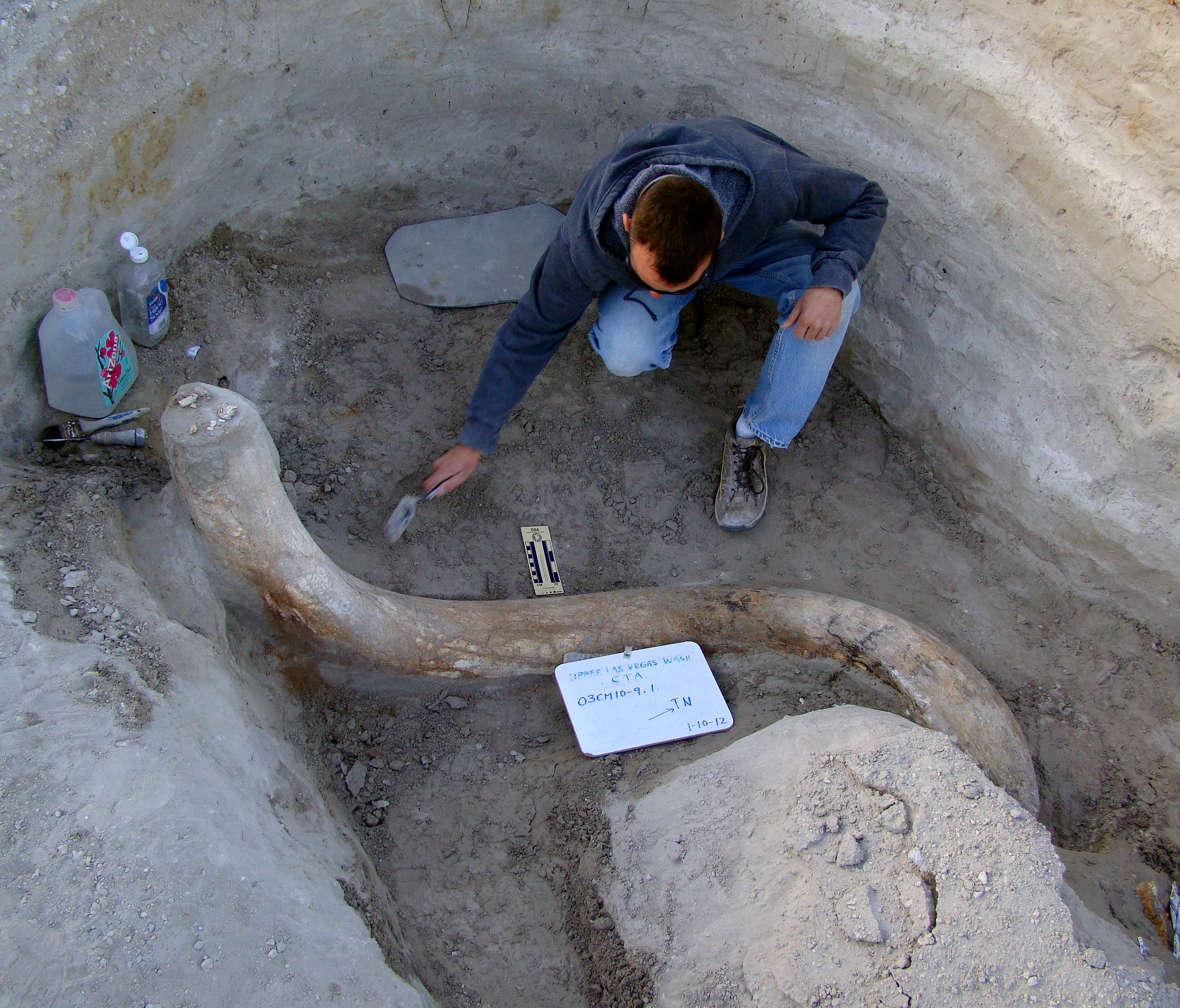 Excavator Mark Swift with 11-foot tusk unearthed at Tule Springs Fossil Beds National Monument near Las Vegas, one of the nation's newest national park units.