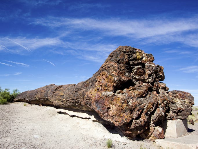 Visitors to Petrified Forest National Park in Arizona will find 200-million-year-old fossils, a human history dating back to prehistoric times and countless beautiful desert views.