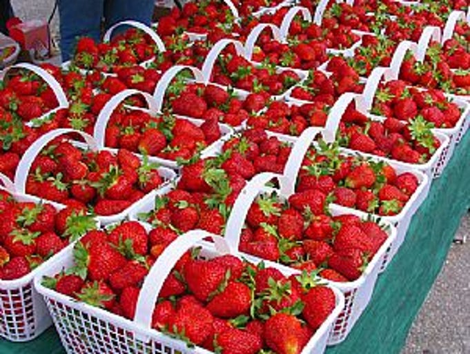 Mustsee festivals in all 50 states