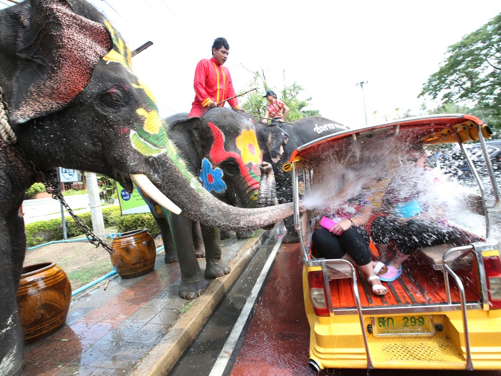 With assist from its mahouts, elephants blow water from its trunk to tourists on motor-tricycle or Tuk Tuk, ahead of the Buddhist New Year, known here as Songkran,  in central Thailand.  The three-day new year festival will start on April 13.